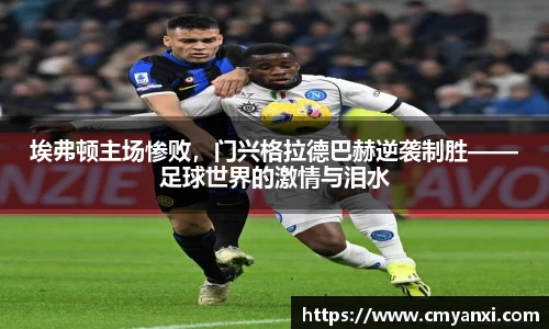 米兰体育官网