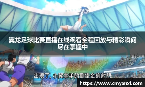 翼龙足球比赛直播在线观看全程回放与精彩瞬间尽在掌握中
